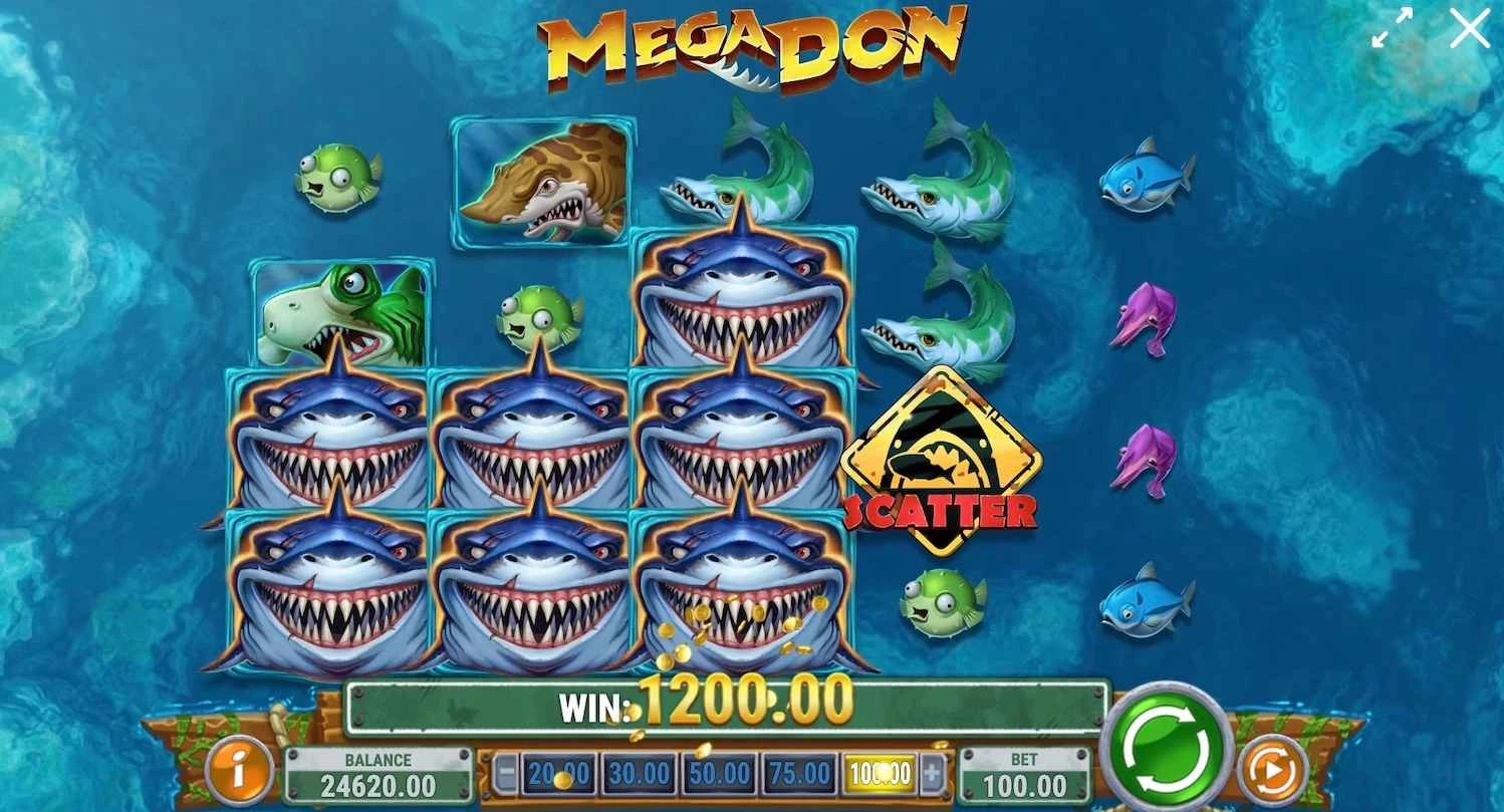 Mega Don Slot Win $1200
