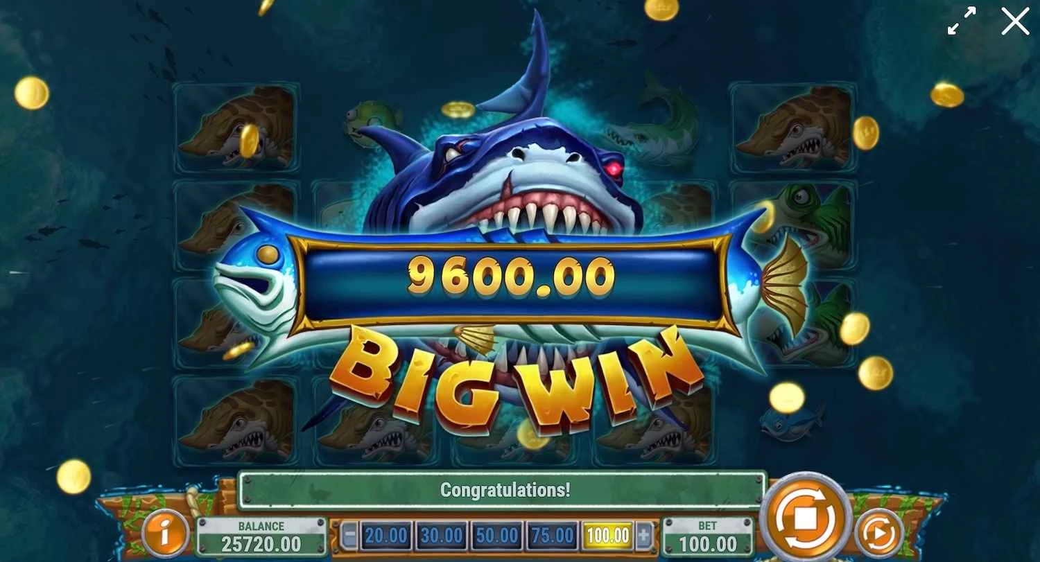 Mega Don Slot Big Win